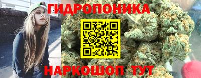 Альфа ПВП Заводоуковск